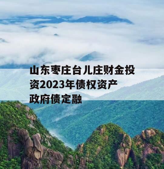 山东枣庄台儿庄财金投资2023年债权资产政府债定融