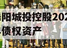 舞阳城投控股2023年债权资产