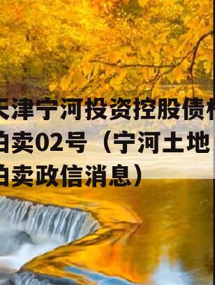 天津宁河投资控股债权拍卖02号（宁河土地拍卖政信消息）