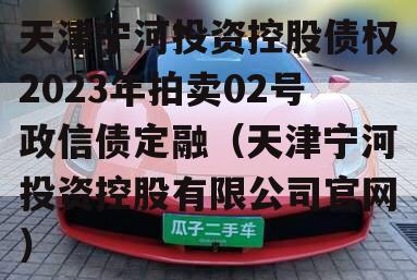 天津宁河投资控股债权2023年拍卖02号政信债定融（天津宁河投资控股有限公司官网）