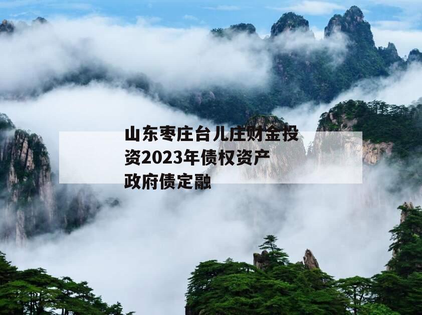 山东枣庄台儿庄财金投资2023年债权资产政府债定融