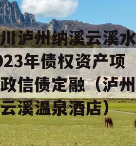 四川泸州纳溪云溪水务2023年债权资产项目政信债定融（泸州纳溪云溪温泉酒店）