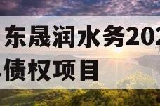 山东晟润水务2023年债权项目