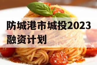 防城港市城投2023融资计划