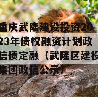 重庆武隆建设投资2023年债权融资计划政信债定融（武隆区建投集团政信公示）