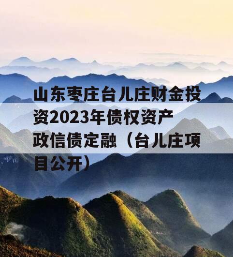 山东枣庄台儿庄财金投资2023年债权资产政信债定融（台儿庄项目公开）