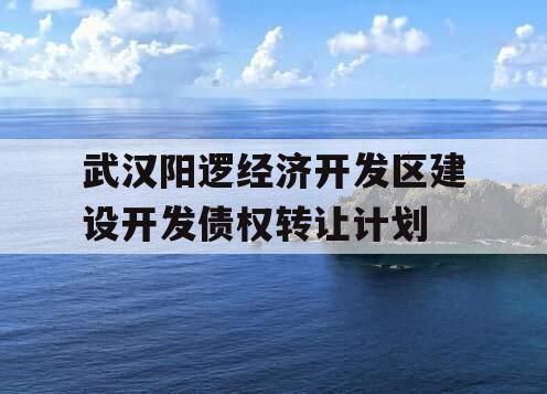 武汉阳逻经济开发区建设开发债权转让计划