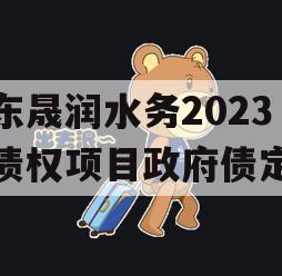 山东晟润水务2023年债权项目政府债定融