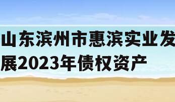 山东滨州市惠滨实业发展2023年债权资产