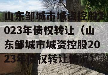 山东邹城市城资控股2023年债权转让（山东邹城市城资控股2023年债权转让情况）