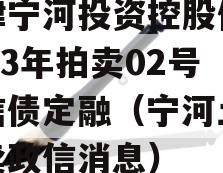 天津宁河投资控股债权2023年拍卖02号政信债定融（宁河土地拍卖政信消息）