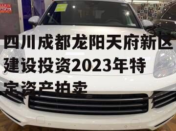 四川成都龙阳天府新区建设投资2023年特定资产拍卖