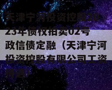 天津宁河投资控股2023年债权拍卖02号政信债定融（天津宁河投资控股有限公司工资待遇）