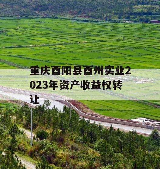 重庆酉阳县酉州实业2023年资产收益权转让