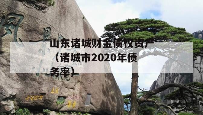 山东诸城财金债权资产（诸城市2020年债务率）