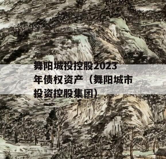 舞阳城投控股2023年债权资产（舞阳城市投资控股集团）