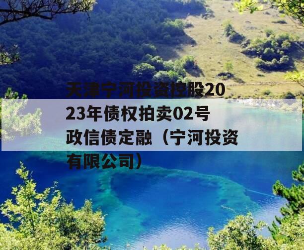 天津宁河投资控股2023年债权拍卖02号政信债定融（宁河投资有限公司）