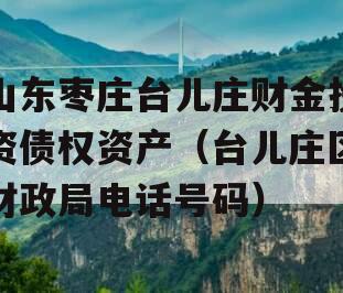 山东枣庄台儿庄财金投资债权资产（台儿庄区财政局电话号码）