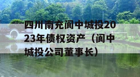 四川南充阆中城投2023年债权资产（阆中城投公司董事长）