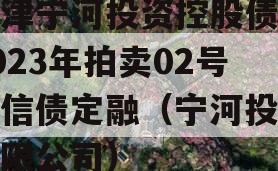 天津宁河投资控股债权2023年拍卖02号政信债定融（宁河投资有限公司）