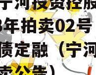 天津宁河投资控股债权2023年拍卖02号政信债定融（宁河区法院拍卖公告）