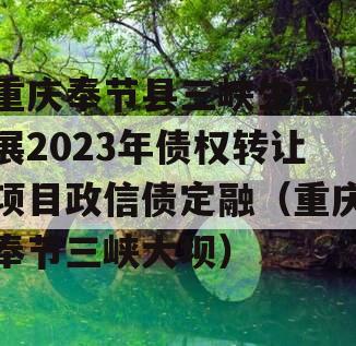 重庆奉节县三峡生态发展2023年债权转让项目政信债定融（重庆奉节三峡大坝）