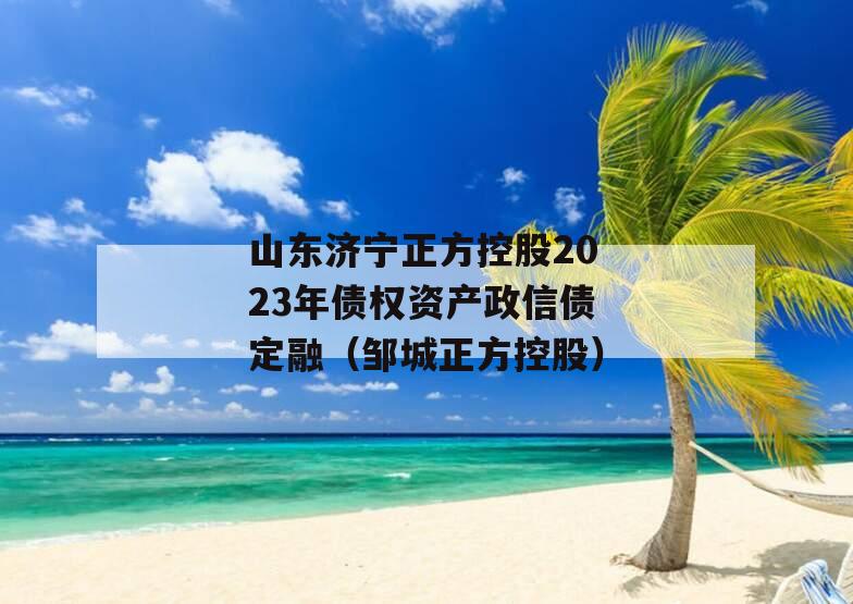 山东济宁正方控股2023年债权资产政信债定融（邹城正方控股）