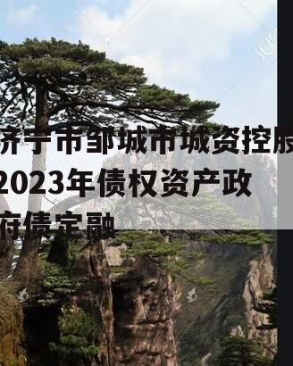 济宁市邹城市城资控股2023年债权资产政府债定融