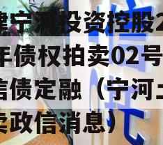 天津宁河投资控股2023年债权拍卖02号政信债定融（宁河土地拍卖政信消息）