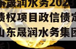 山东晟润水务2023年债权项目政信债定融（山东晟润水务集团董事长）