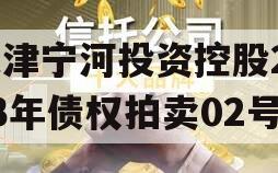 天津宁河投资控股2023年债权拍卖02号