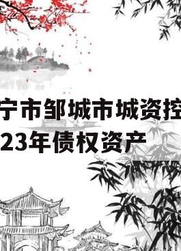 济宁市邹城市城资控股2023年债权资产