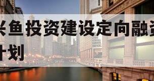 兴鱼投资建设定向融资计划