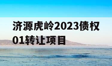 济源虎岭2023债权01转让项目