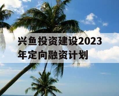 兴鱼投资建设2023年定向融资计划