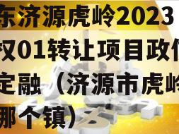 山东济源虎岭2023债权01转让项目政信债定融（济源市虎岭属于哪个镇）