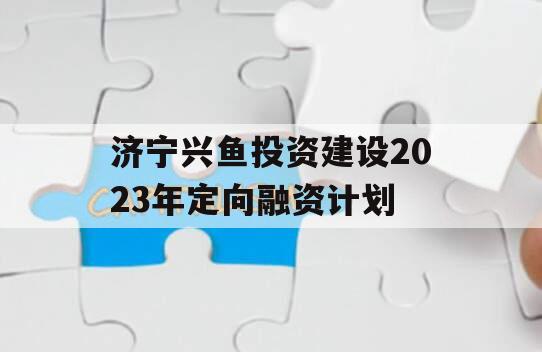 济宁兴鱼投资建设2023年定向融资计划