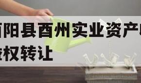 酉阳县酉州实业资产收益权转让