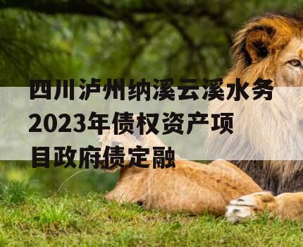 四川泸州纳溪云溪水务2023年债权资产项目政府债定融