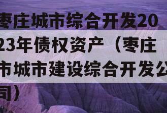 枣庄城市综合开发2023年债权资产（枣庄市城市建设综合开发公司）