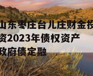 山东枣庄台儿庄财金投资2023年债权资产政府债定融