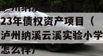 泸州纳溪云溪水务2023年债权资产项目（泸州纳溪云溪实验小学怎么样）