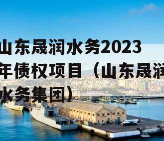 山东晟润水务2023年债权项目（山东晟润水务集团）