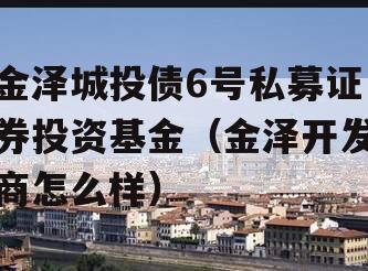 金泽城投债6号私募证券投资基金（金泽开发商怎么样）