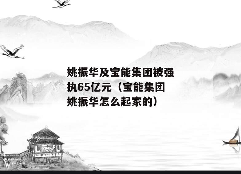 姚振华及宝能集团被强执65亿元（宝能集团姚振华怎么起家的）