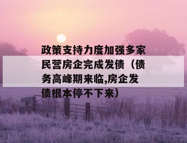 政策支持力度加强多家民营房企完成发债（债务高峰期来临,房企发债根本停不下来）