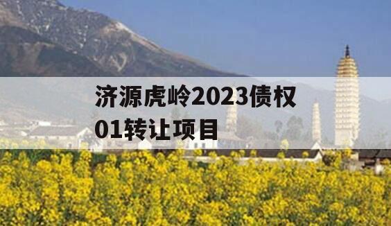 济源虎岭2023债权01转让项目