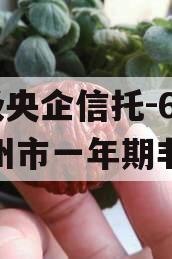 A级央企信托-676泰州市一年期非标