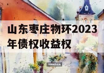 山东枣庄物环2023年债权收益权