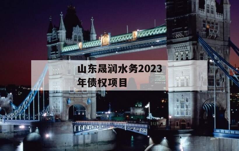 山东晟润水务2023年债权项目